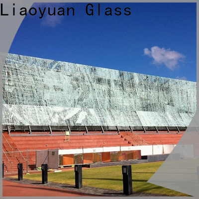 Liaoyuan Glass screen printed glasses design bulk production